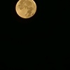 moon_1475