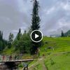 luciboy0567