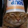 snoobertt