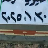 wavealaraqi5