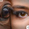 saulezumagazieva07gmail4