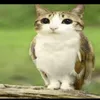.__.._.__._._.___._