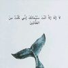 wafa.zhrani