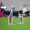 agility.herd
