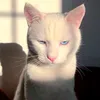 lostfromyourmom