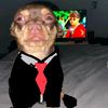 _cuaz.hdz_