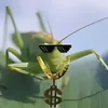 carogafa26