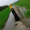 hayatipuadi