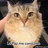 la_paz_me_consume_2913