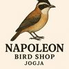napoleonbird2shop