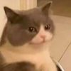 kageza_0704