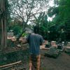 budhi_rafrent