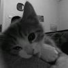 user151120114
