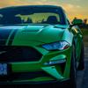 greenmustang