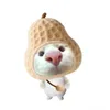 username123648981