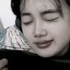 insbin