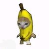 patchaya_som