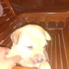 net5668104506733
