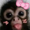 stam_mishehi