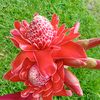 quain_2494