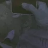 nvdnirsi