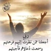 sihamsiham7695