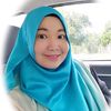 anisfirdanis