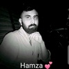 alihamza0490