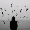 tr_evv