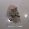 bb_bbbbb28