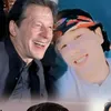 ptiking313mj