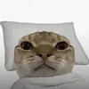 nhincmcmay