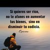 roy.868