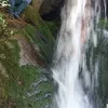 riaddahhik