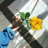 amoonaalmadhoun37