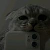 mimisael._