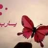 dy40qaxpnxd2