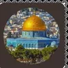 amelsalman408