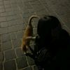 0.ouba_