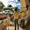 adixonmarquez241509