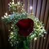 rozi_2324