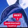 bartinli74mert