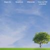 linconlopez8