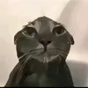 ded_axmed777
