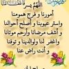 dalalesmail969