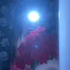 elizaveta_1422
