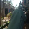 trangthaimongmo1