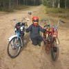 modestas388