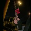 kami_llc