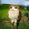 leftrightgoodnight404